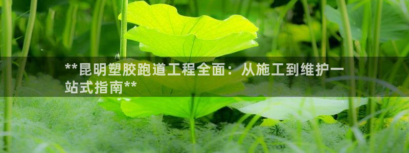 尊龙人生就是博ag旗舰厅：**昆明塑胶跑道工程全面：