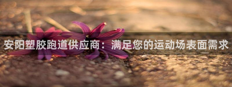 尊龙凯时的企业文化：安阳塑胶跑道供应商：满足您的运动场表面需求