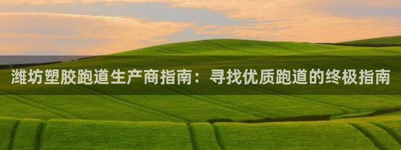 z6尊龙z6：潍坊塑胶跑道生产商指南：寻找优质跑道的终极指南