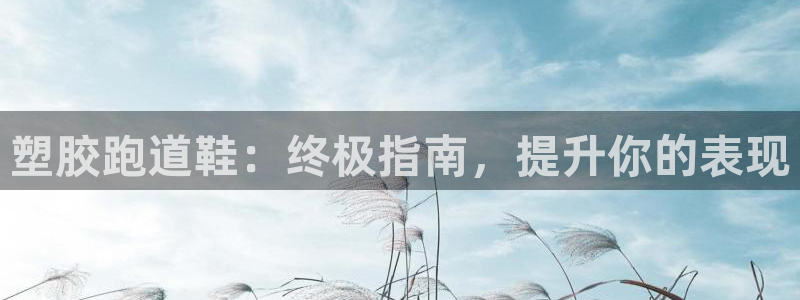 尊龙新版app：塑胶跑道鞋：终极指南，提升你的表现