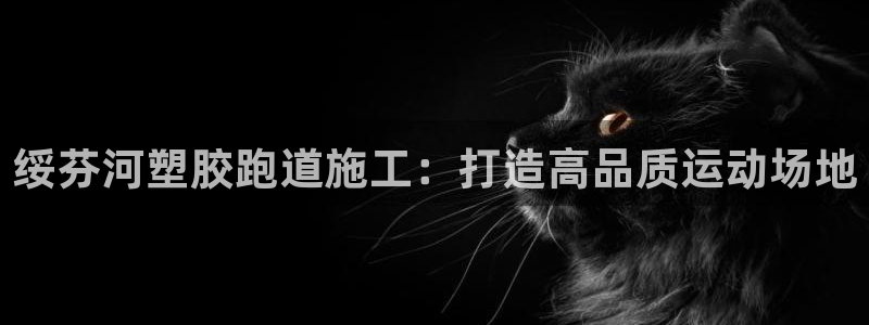 尊龙凯时网站是什么地方人开的：绥芬河塑胶跑道施工：打造高品质运动场地