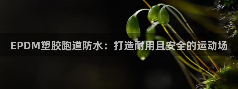 尊龙人生就是博管网：EPDM塑胶跑道防水：打造耐用且