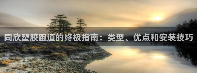 尊龙凯时ag旗舰厅登陆：同欣塑胶跑道的终极指南：类型