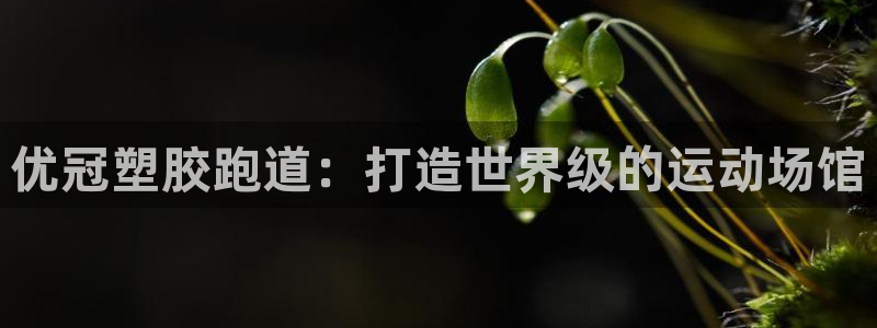尊龙d88ag旗舰厅：优冠塑胶跑道：打造世界级的运动场馆