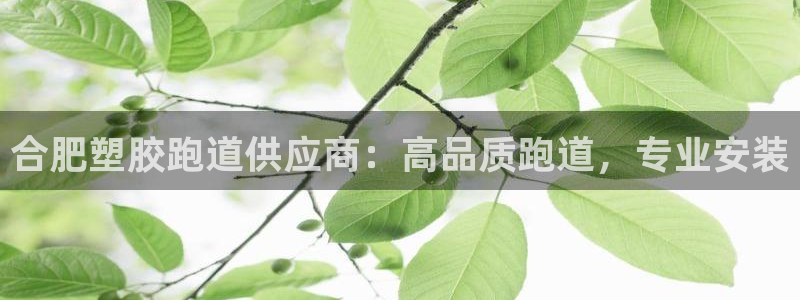 尊龙凯时合法吗?：合肥塑胶跑道供应商：高品质跑道，专业安装