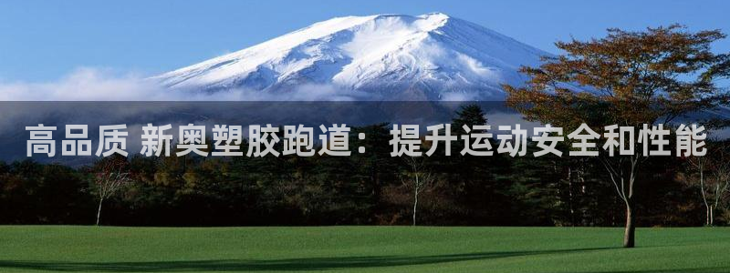 尊龙凯时网页版：高品质 新奥塑胶跑道：提升运动安全和性能