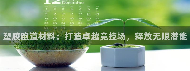 凯时效果怎么样：塑胶跑道材料：打造卓越竞技场，释放无限潜能