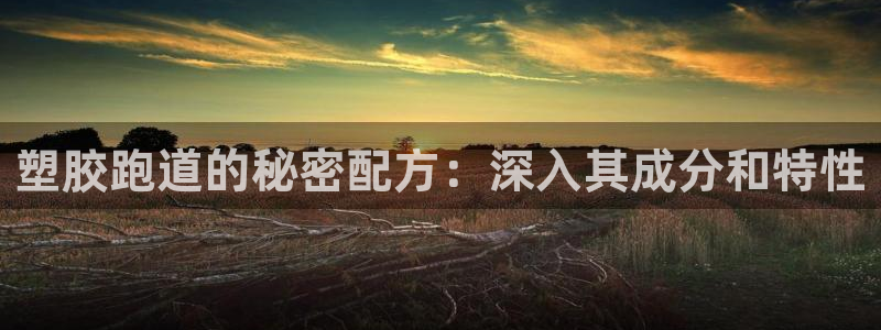尊龙官网在哪里：塑胶跑道的秘密配方：深入其成分和特性