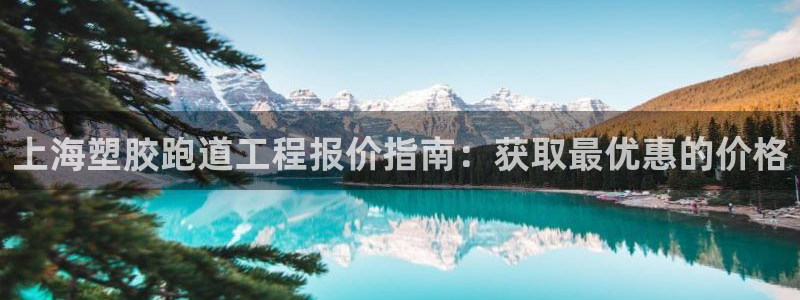 尊龙官网APP下载：上海塑胶跑道工程报价指南：获取最