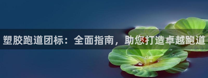 d88尊龙可靠送38元：塑胶跑道团标：全面指南，助您