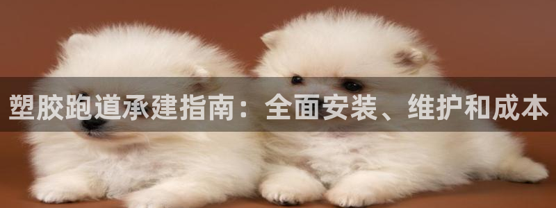 尊龙体育电竞官网：塑胶跑道承建指南：全面安装、维护和成本
