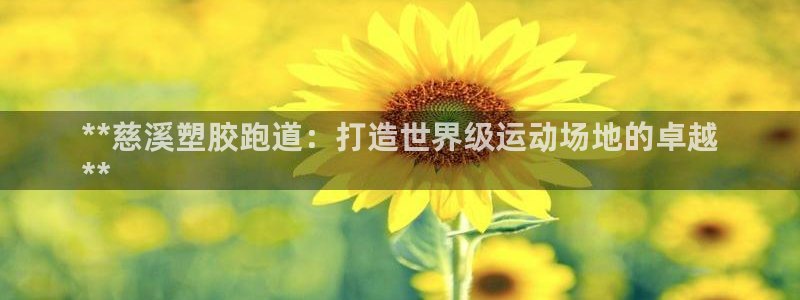 尊龙官网注册：**慈溪塑胶跑道：打造世界级运动场地的