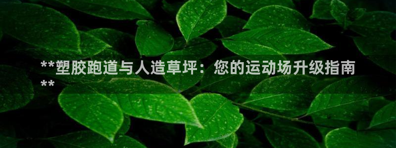 尊龙凯时人生就是搏首页：**塑胶跑道与人造草坪：您的
