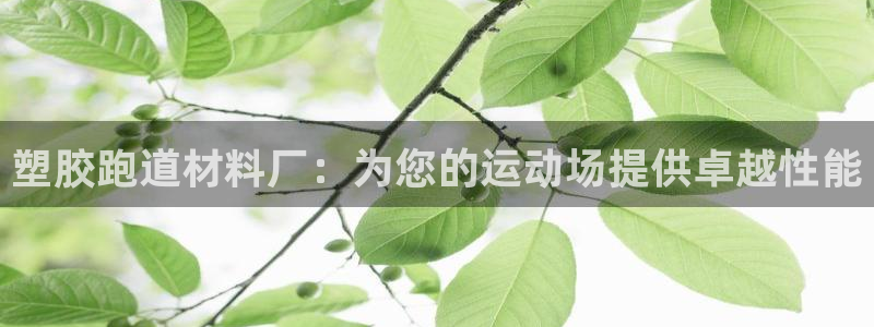 尊龙人生就是博送38：塑胶跑道材料厂：为您的运动场提供卓越性能