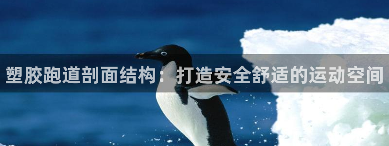 尊龙凯时 人生就是搏!：塑胶跑道剖面结构：打造安全舒