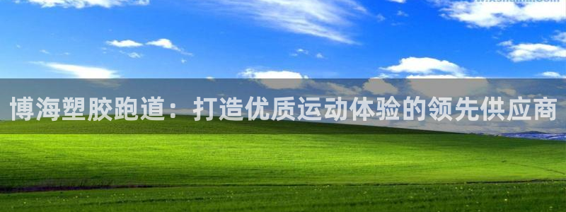 尊龙凯时官网：博海塑胶跑道：打造优质运动体验的领先供应商