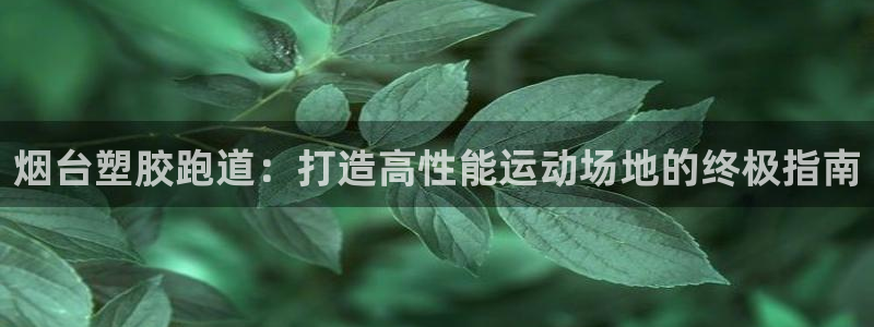 尊龙z6：烟台塑胶跑道：打造高性能运动场地的终极指南