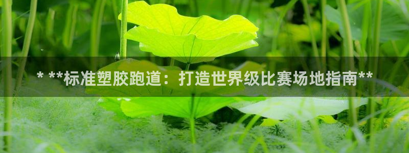 ag尊龙凯时官网：* **标准塑胶跑道：打造世界级比赛场地指