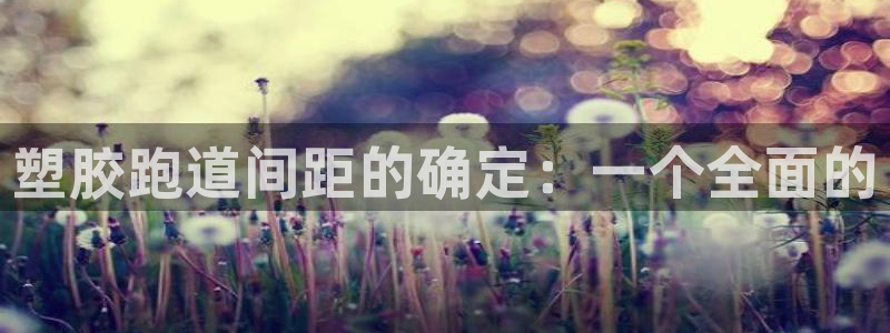 尊龙体育正规么
