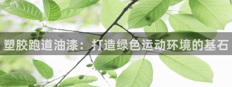 尊龙人生就是博官方官网