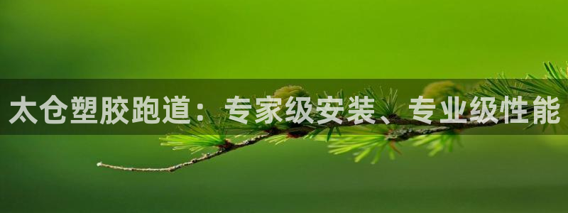 凯时尊龙app国际官方网站：太仓塑胶跑道：专家级安装、专业级性能
