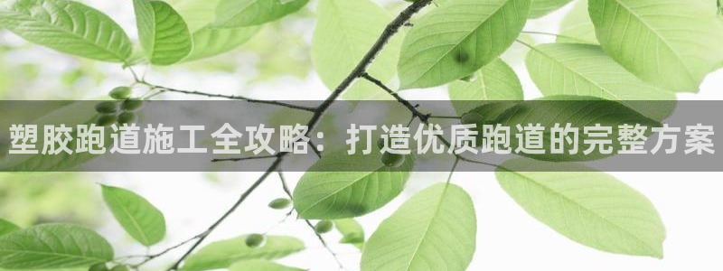 尊龙凯时有限公司：塑胶跑道施工全攻略：打造优质跑道的完整方案