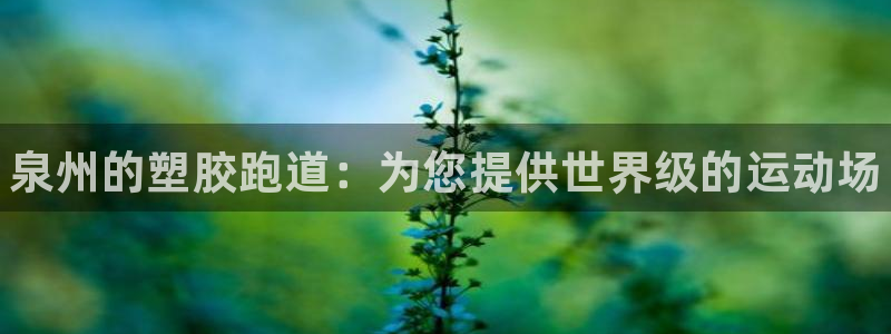 凯时国际app登录：泉州的塑胶跑道：为您提供世界级的运动场