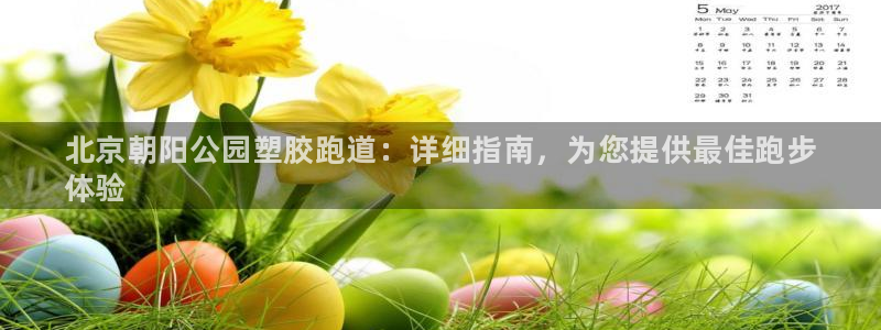 尊龙手机端下载：北京朝阳公园塑胶跑道：详细指南，为您