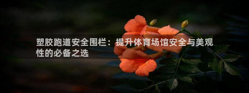 KB88凯时官网登录：塑胶跑道安全围栏：提升体育场馆安全与美