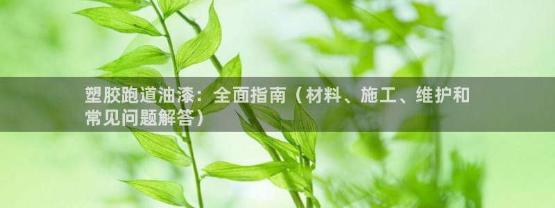 尊龙凯时人生就是搏包装优势：塑胶跑道油漆：全面指南（材料、施