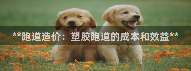 尊龙客服：**跑道造价：塑胶跑道的成本和效益**