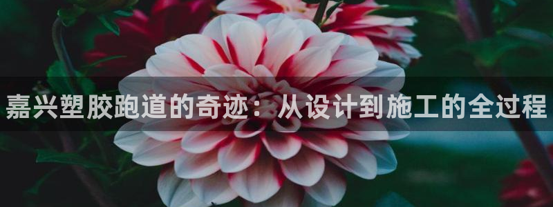 AG尊龙登陆网址