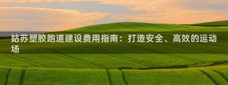 尊龙网址是多少：姑苏塑胶跑道建设费用指南：打造安全、