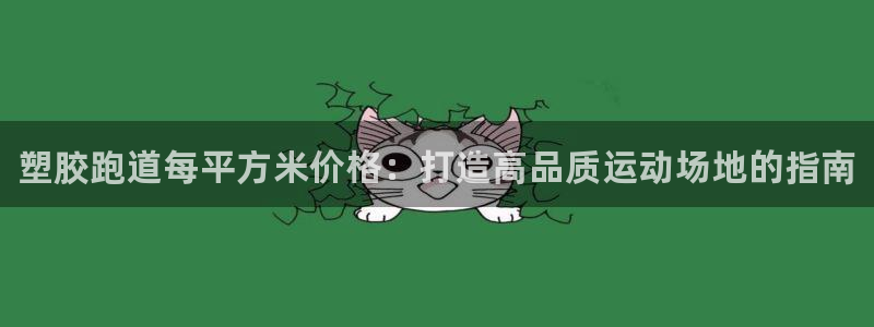 尊龙凯时登陆：塑胶跑道每平方米价格：打造高品质运动场地的指南