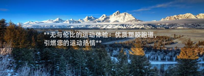 尊龙人生就是博登录:**无与伦比的运动体验:优质塑胶跑道,