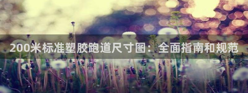 尊龙t300和t400哪个好：200米标准塑胶跑道尺寸图：全