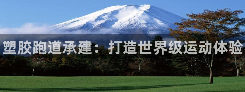 新版尊龙99：塑胶跑道承建：打造世界级运动体验