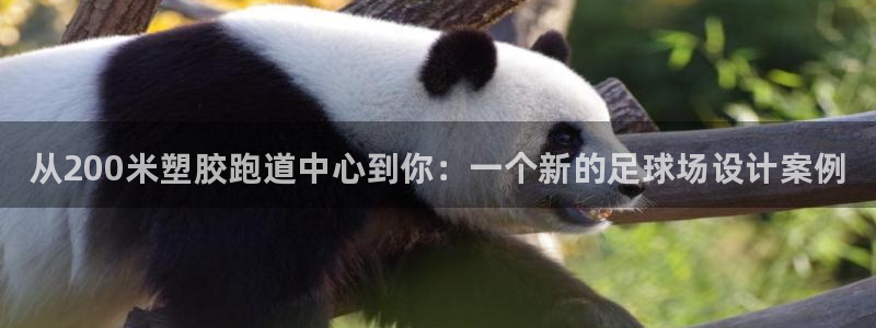 尊龙凯时干什么的