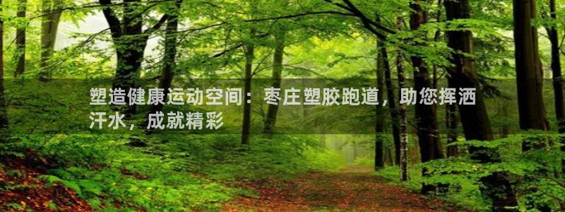 尊龙百度百科：塑造健康运动空间：枣庄塑胶跑道，助您挥