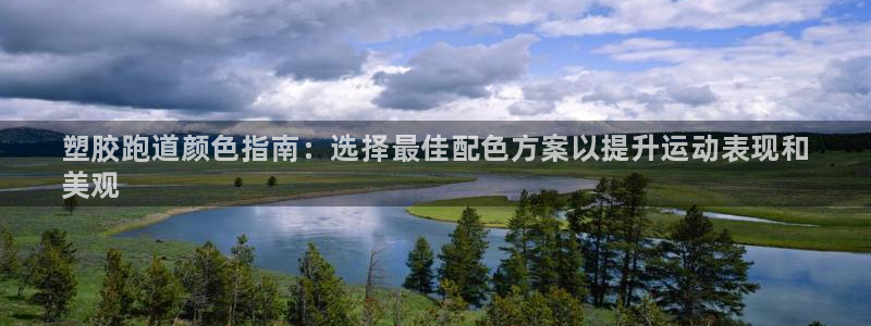 尊龙官网国际：塑胶跑道颜色指南：选择最佳配色方案以提升运动表